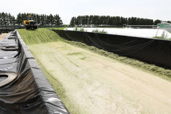 バンガーサイロ