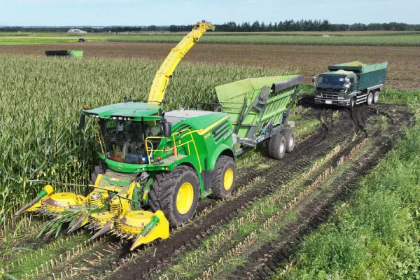 デントコーンの収穫風景